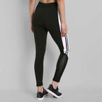 K17 Striped Women Tights V1.0